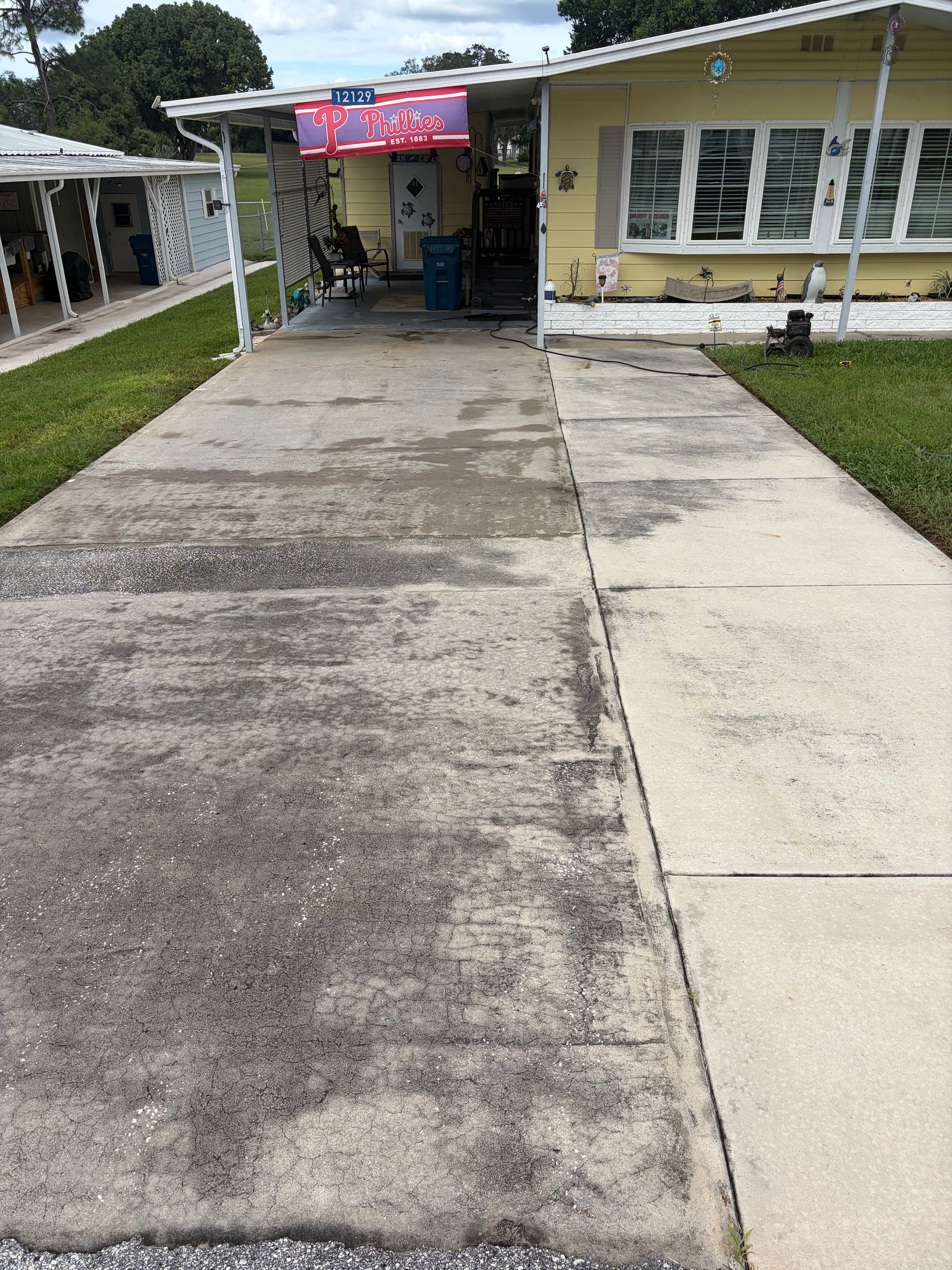 Driveway with mold and staining before cleaning